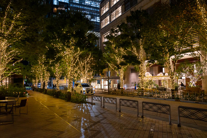 Japan-Tokyo-Ginza-Curry - Just one of thousands of areas with trees strangled by lights.