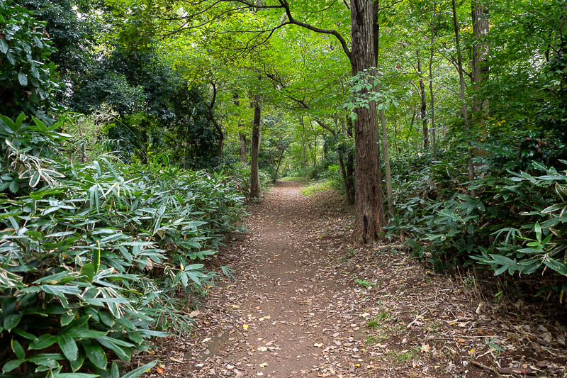 Japan-Tokyo-Museum-Dam - Here is part of the aforementioned trail.