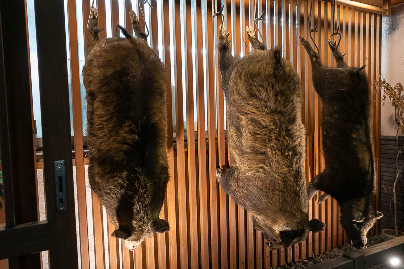 Japan-Tokyo-Ryogoku-Ramen - Three dead pigs strung from the wall of a restaurant. This is what ends up in your ramen.