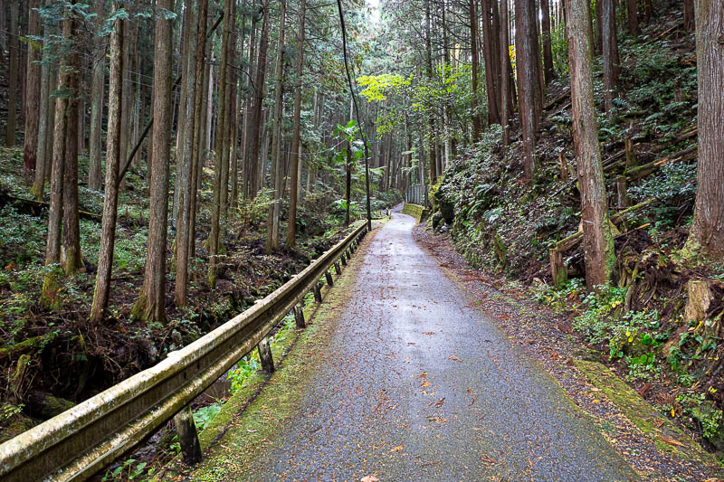 Japan-Tokyo-Hiking-Mount Izugatake - Only about the first km was a road today, but a nice road. Having said that there are a couple of roads to cross on the actual hike.