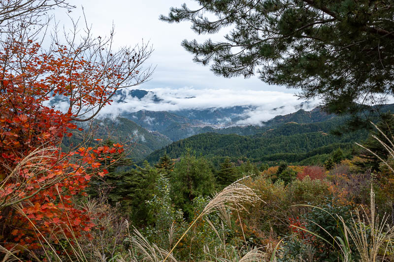 Japan-Tokyo-Hiking-Mount Izugatake - Here is the view just before the main shrine, still some fog around.