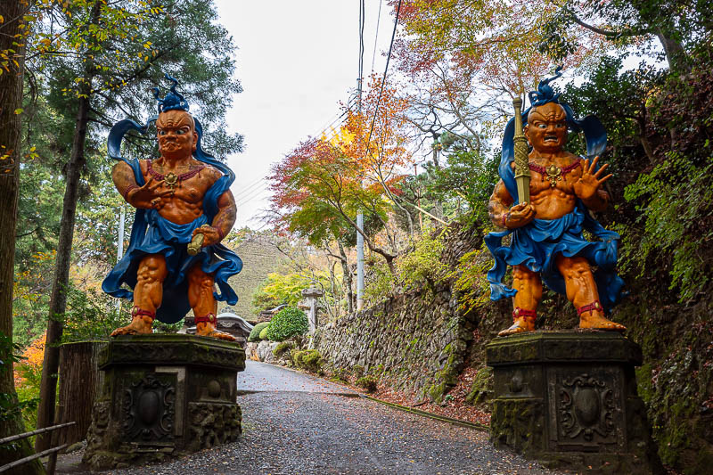 Japan-Tokyo-Hiking-Mount Izugatake - Oh hello there.