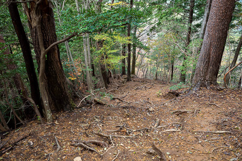 Japan-Tokyo-Hiking-Mount Izugatake - As always, despite this being very steep, you cannot photograph steep.