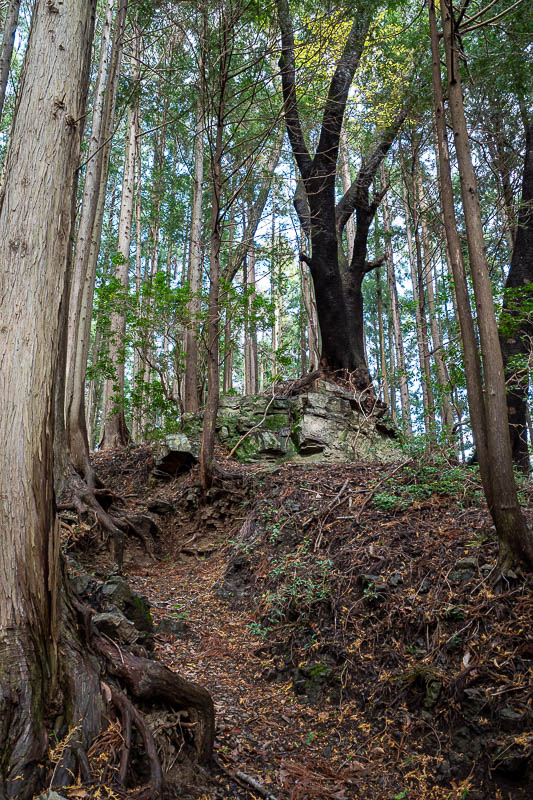 Japan-Tokyo-Hiking-Mount Izugatake - Now to start the ascent to the main peaks for the day.