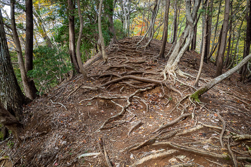 Japan-Tokyo-Hiking-Mount Izugatake - Finally some alone time