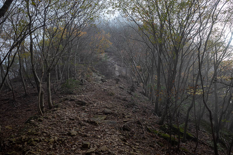 Japan-Tokyo-Hiking-Mount Izugatake - The fog came back. Nice.