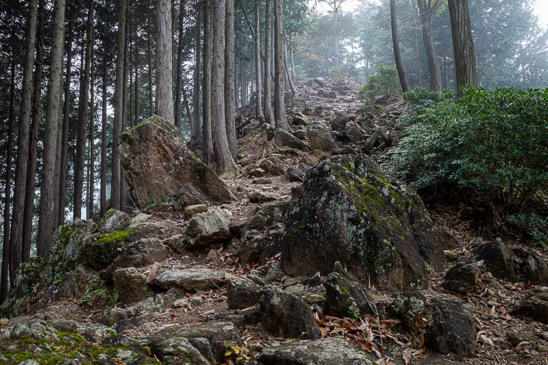 Japan-Tokyo-Hiking-Mount Izugatake - I descended back below the fog. Slow going due to rocks and steepness.