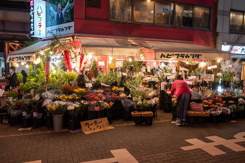 Japan-Tokyo-Akihabara-Curry - Flower shops are everywhere for drunk businessmen to apologise with. This one has particularly blinding lights.