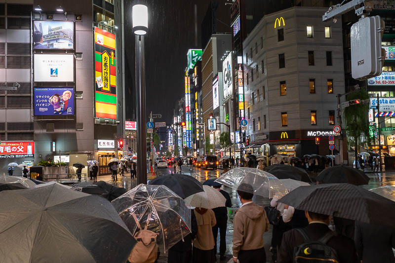 Japan-Tokyo-Rain - Um-ber-rella-poc-a-lypse is unfolding before my very eyes.