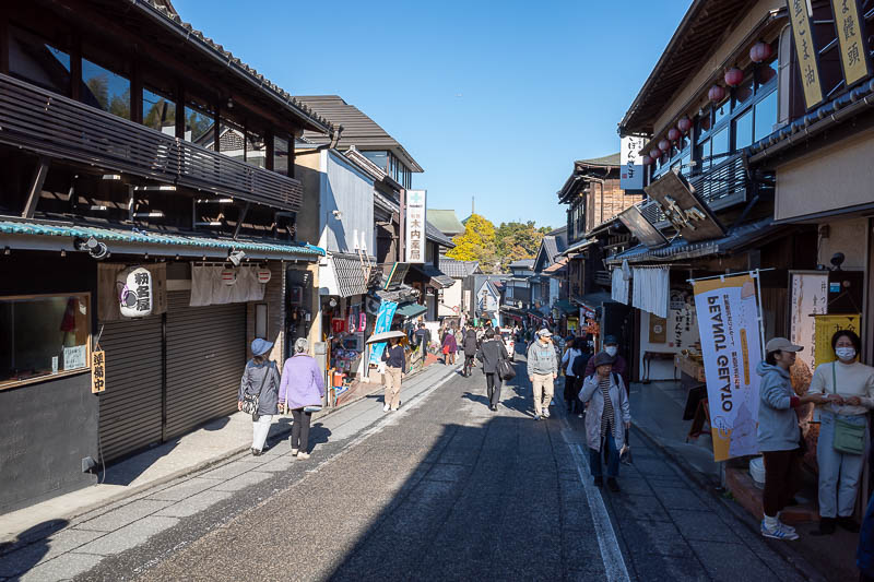 Japan-Tokyo-Narita-Haneda - OK that is enough of the tourist street, lets hit the shrines.