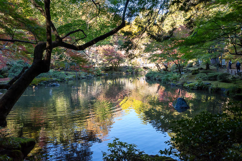 Japan-Tokyo-Narita-Haneda - The lake area of the garden was great but the sun was in the wrong position for photos.