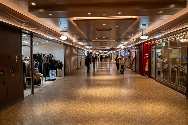 Japan-Tokyo-Walking-Yamanote - I decided to avoid people and the sun and go under the bulk of Shinjuku.