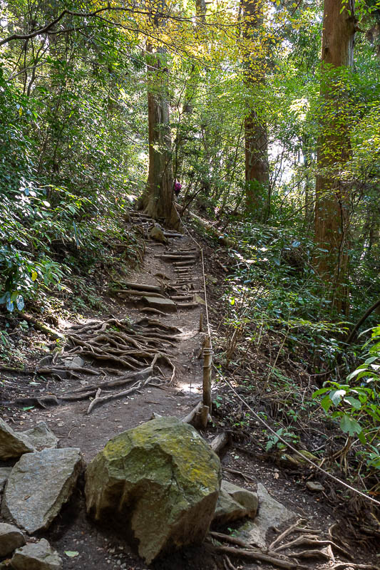 Japan-Tokyo-Hiking-Mount Tsukuba - No Autumn colours yet, but still great scenery.