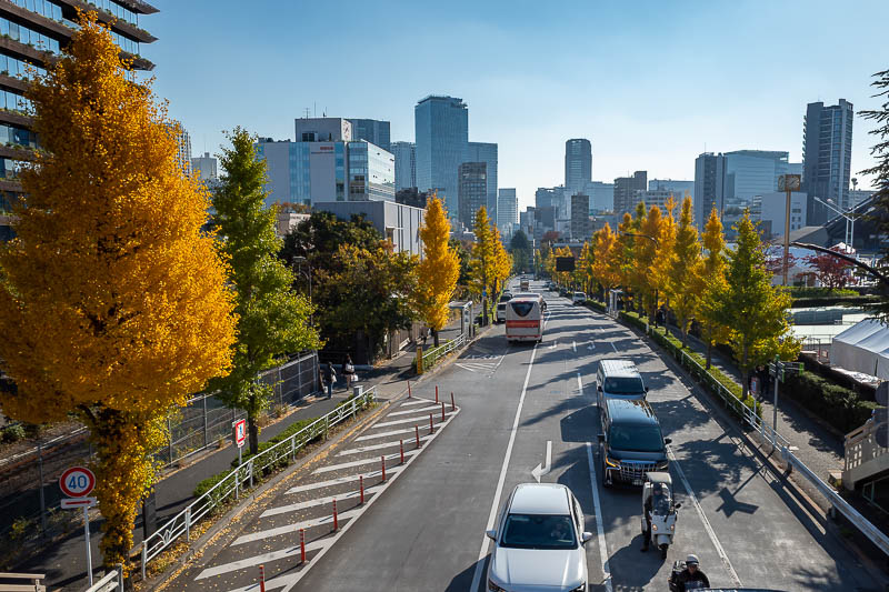 Japan-Tokyo-Walking-Yamanote - A nice photo ends part 1.