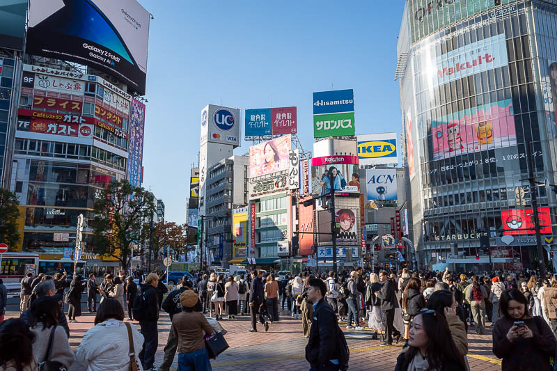 Trip 13 to Japan - October and November 2025 - But first, a shot of 'the crossing'.