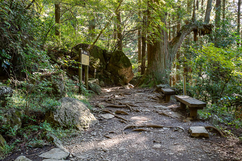 Japan-Tokyo-Hiking-Mount Tsukuba - Most of the rest areas were also mini shrines of some kind, with locals stopping to do some kind of mini ritual.