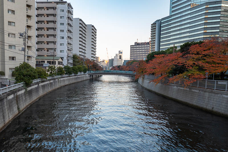 Trip 13 to Japan - October and November 2025 - Time to cross another drain.