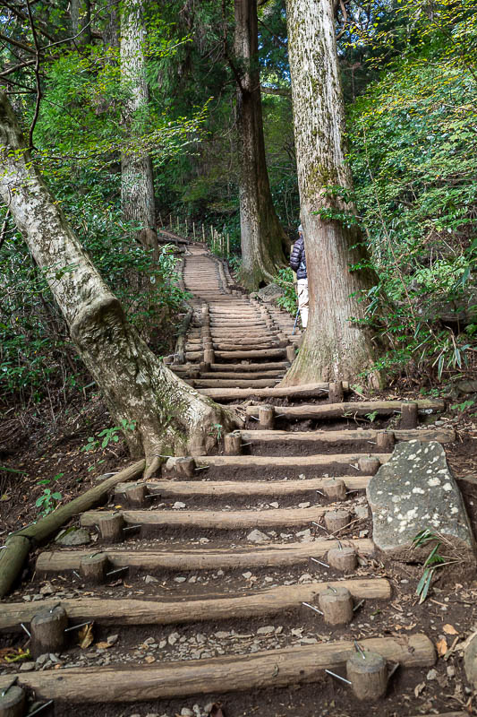 Japan-Tokyo-Hiking-Mount Tsukuba - Although much of the trail was tree roots and rocks, there were parts with steps such as this.