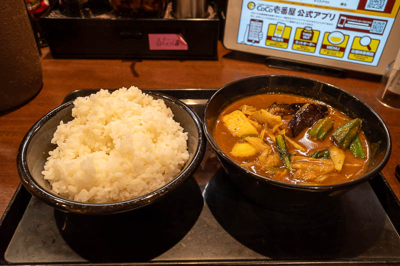 Trip 13 to Japan - October and November 2025 - To celebrate, soup curry! Delicious. It took me forever to type all this out, zooming in on the station names. Tomorrow I fly home, but not until 4:40