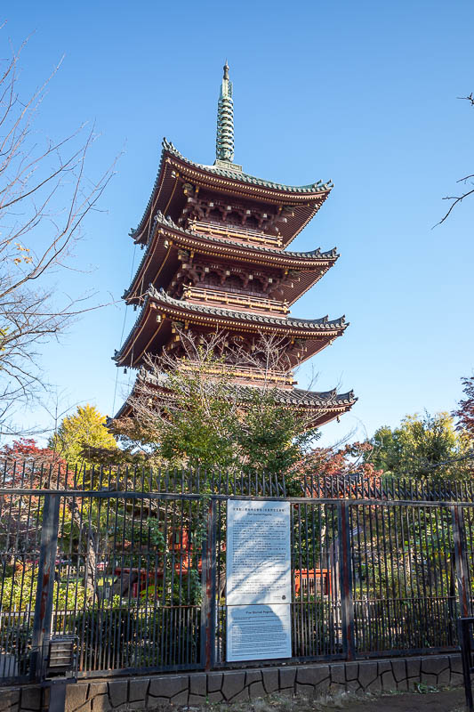 Japan-Tokyo-Ueno-Ginza - Familiar pagoda, I think I have taken this photo at least 3 times previously.
