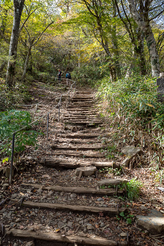 Japan-Tokyo-Hiking-Mount Tsukuba - The walk up to the first summit, from where I would double back, was probably the nicest part of the hike.