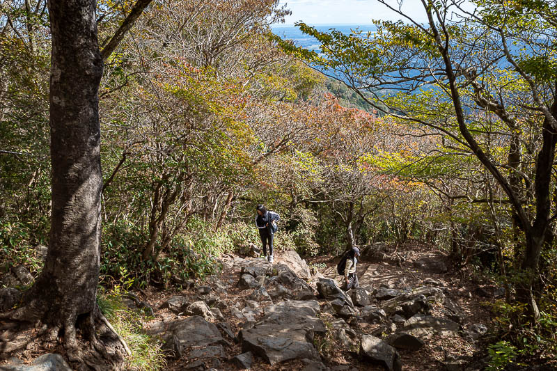 Japan-Tokyo-Hiking-Mount Tsukuba - More rocks and leaves.