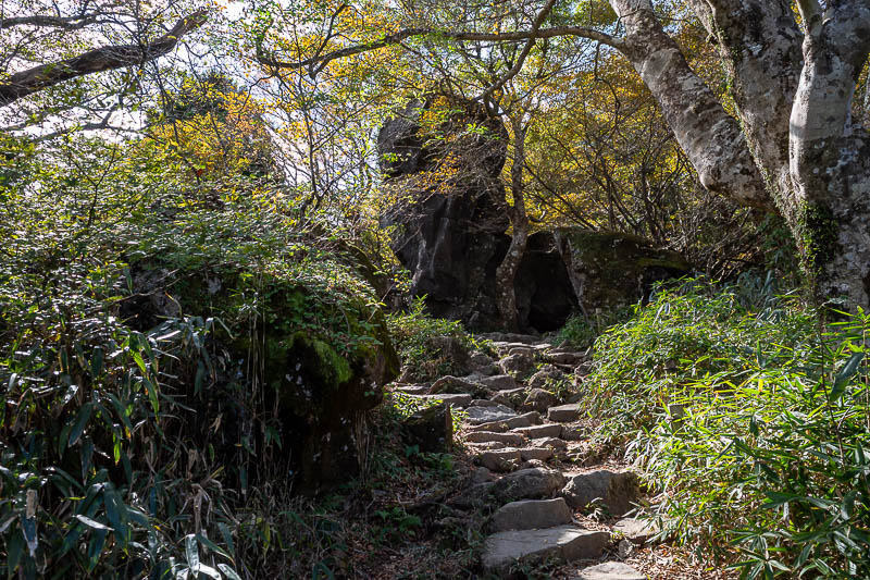 Japan-Tokyo-Hiking-Mount Tsukuba - Big rocks and low bamboo oh my.