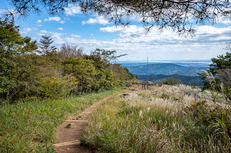 Japan-Tokyo-Hiking-Mount Tsukuba - There was even a wheat field.