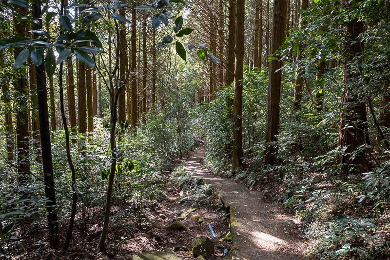 Japan-Tokyo-Hiking-Mount Tsukuba - I still had to complete the triangle, or more of a rhombus, by walking back to the first cable car line from the bottom of the other cable car line. I