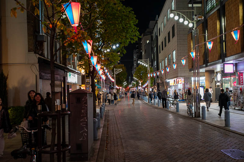 Japan-Tokyo-Kanda-Yakisoba - The little back street my hotel is on with all the book shops also has made an effort to string lights all the way along the street. It is a very nice