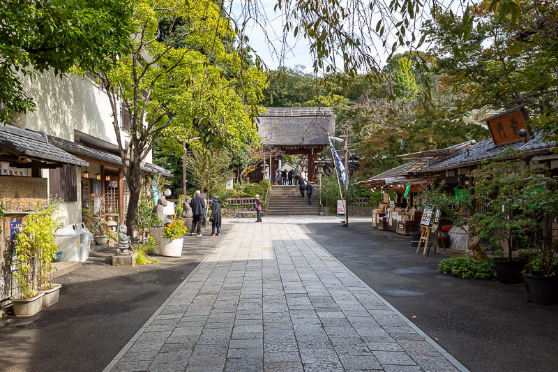Japan-Tokyo-Jindai-Garden - The approach to the main temple/shrine featured many ice cream shops. I checked google maps, Jindaiji temple.