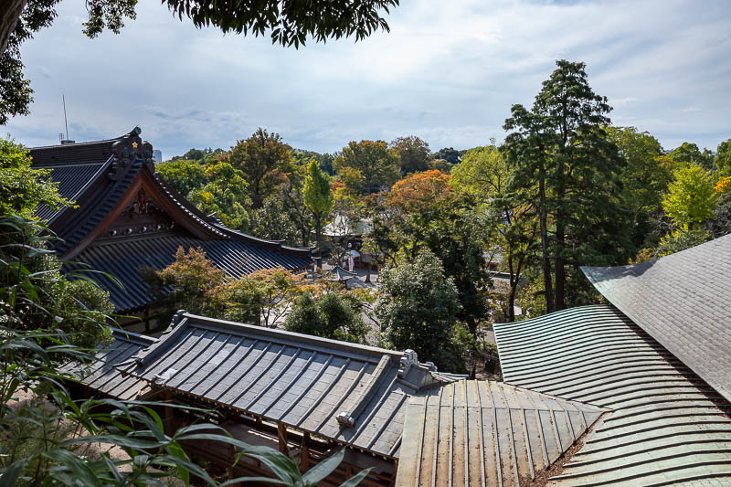 Japan-Tokyo-Jindai-Garden - The way to the main garden is to climb up over the back of the main temple, nice view.