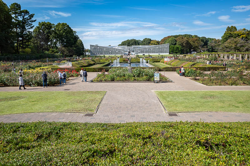 Japan-Tokyo-Jindai-Garden - Stop and smell the roses