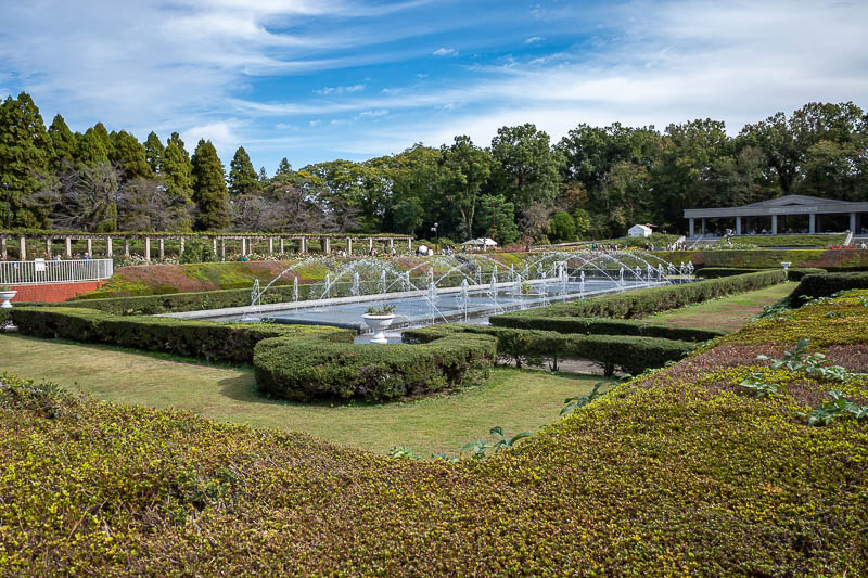 Japan-Tokyo-Jindai-Garden - There are maps explaining where to see every kind of rose, and a rose garden annex with new varieties with names yet to be ratified by the world rose