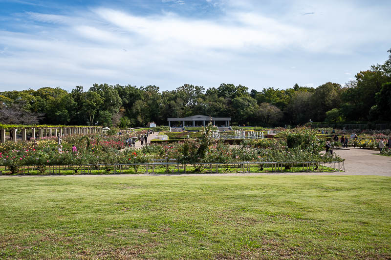Japan-Tokyo-Jindai-Garden - Here is some more of the rose garden, with grass.