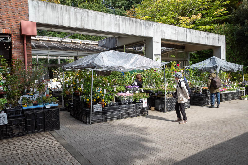 Japan-Tokyo-Jindai-Garden - Most Japanese gardens have an area where grandmas who have stolen plants from the garden and placed them in pots can then sell them to the public. The