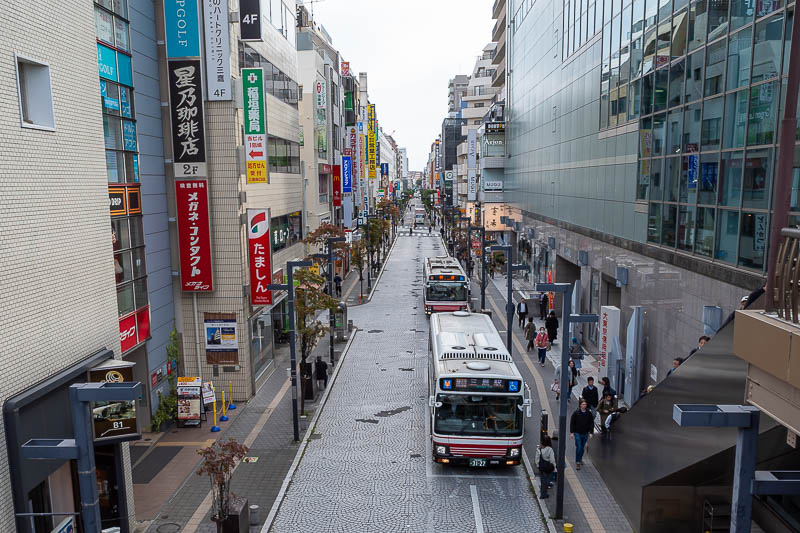 Japan-Tokyo-Jindai-Garden - After leaving the park, I continued north, and in about 90 minutes, arrived at Mitaka. The special rapid train stops here so it must be a sizeable are