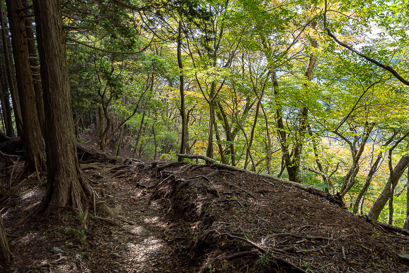 Japan-Tokyo-Hiking-Tonodake - But it was still very nice. I saw no other people until I got up to the ridge.