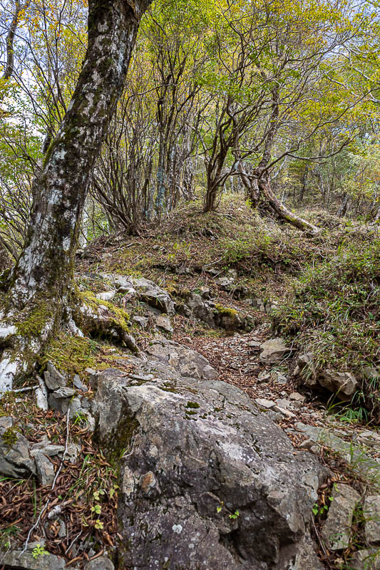 Japan-Tokyo-Hiking-Tonodake - People complain this trail is hard to follow. Nonsense. It is somewhat under developed compared to the main trail, but compared to many other hikes I 
