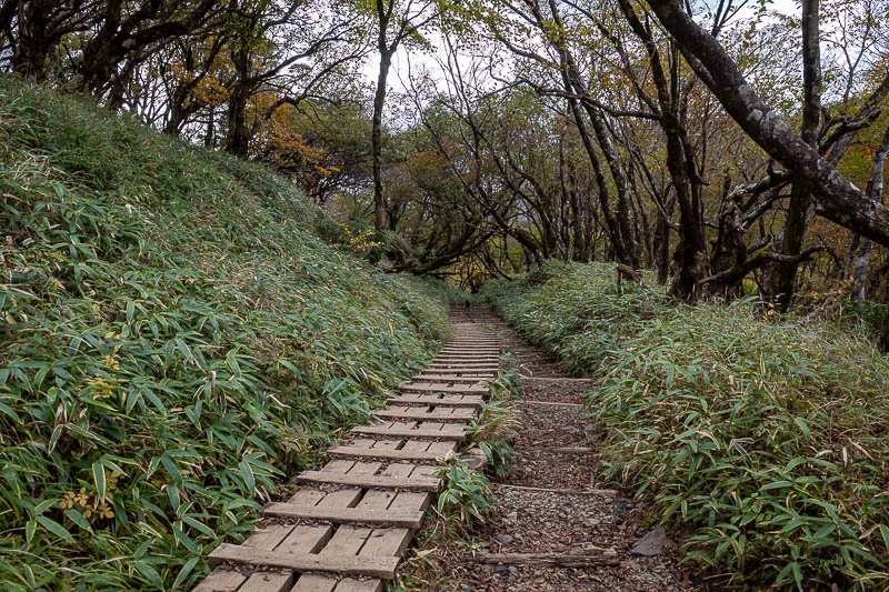 Japan-Tokyo-Hiking-Tonodake - I ran down the tracks pretending I was a train. I made the noises too.