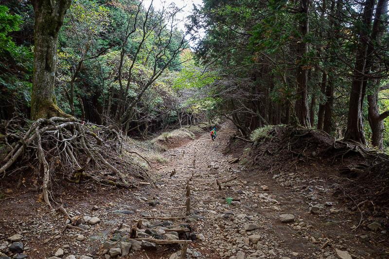 Japan-Tokyo-Hiking-Tonodake - Back into the dark forest, complete with bear bait ahead of me.