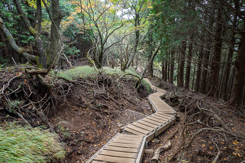 Japan-Tokyo-Hiking-Tonodake - New parts of the wooden trail. Not really needed except for the huge number of people that use this trail on weekends cause massive erosion.