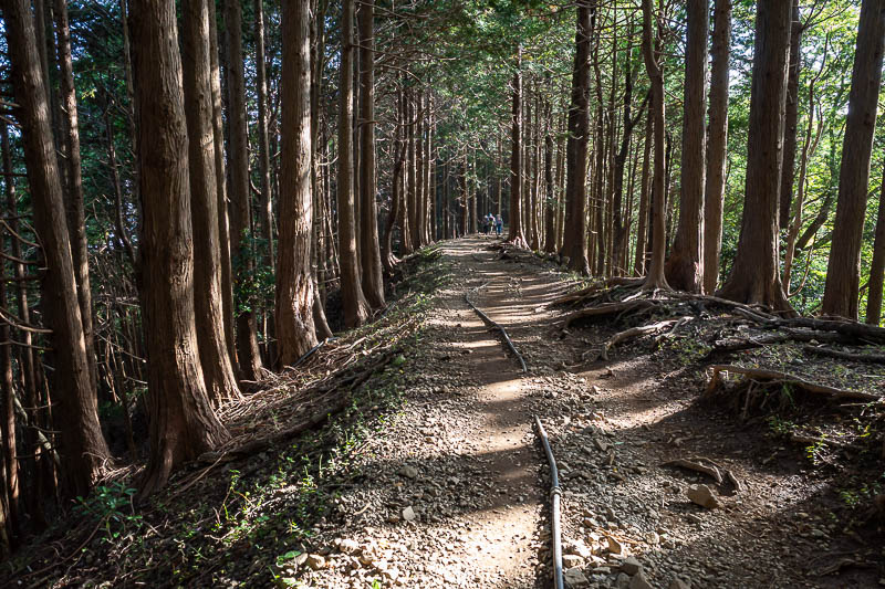 Japan-Tokyo-Hiking-Tonodake - Time to follow the hose. There are a lot of hoses on Japanese mountains.