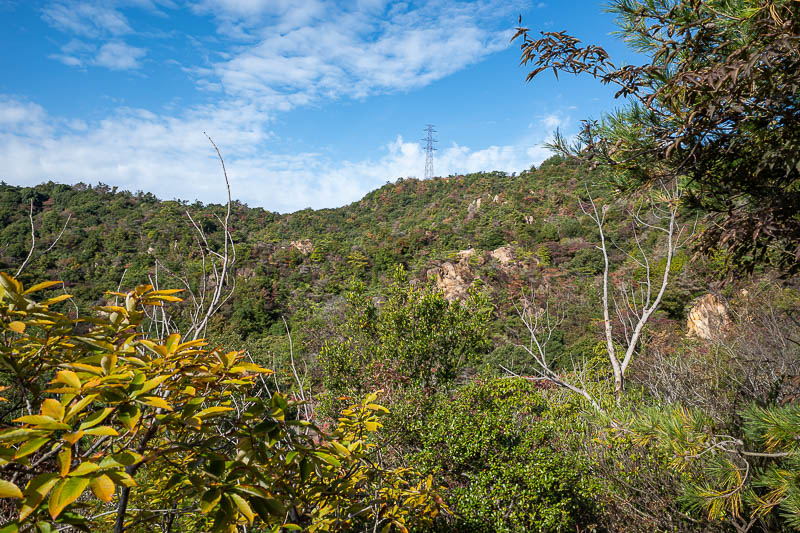 Japan-Kobe-Hiking-Mount Rokko - The view is a bit deceiving today, the actual peak is quite high at just under 1000m, that is not it.