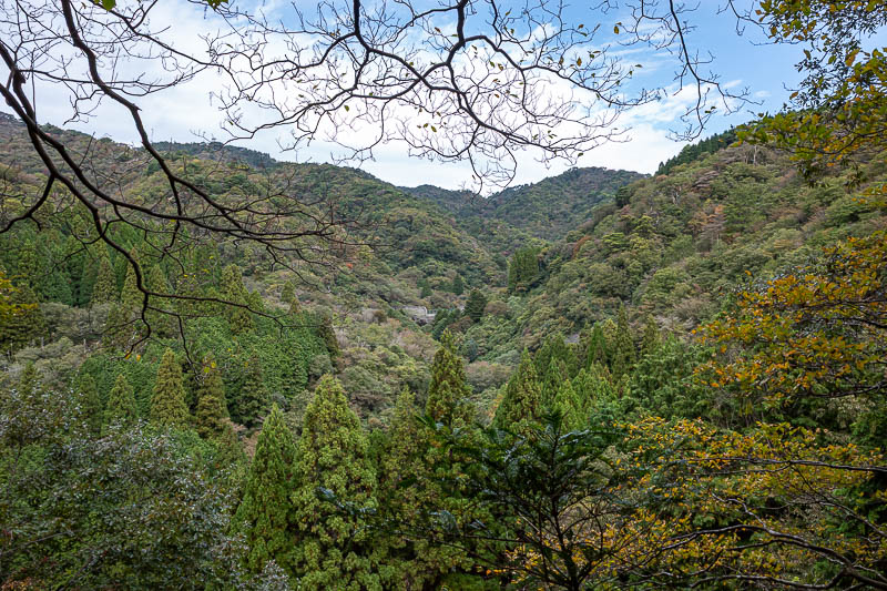 Japan-Kobe-Hiking-Mount Rokko - The next peak. Not a lot of Autumn yet.