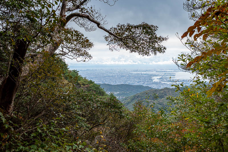 Japan-Kobe-Hiking-Mount Rokko - A bit more view.