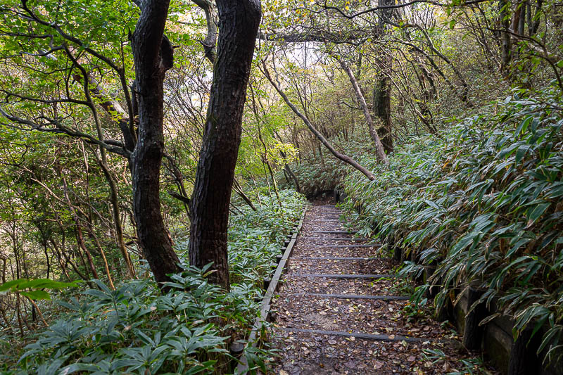 Japan-Kobe-Hiking-Mount Rokko - I continued over the back. At first it was very developed.