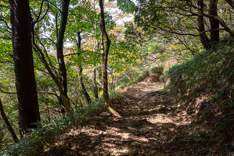 Japan-Kobe-Hiking-Mount Rokko - Autumn has started but is nowhere near peaking.