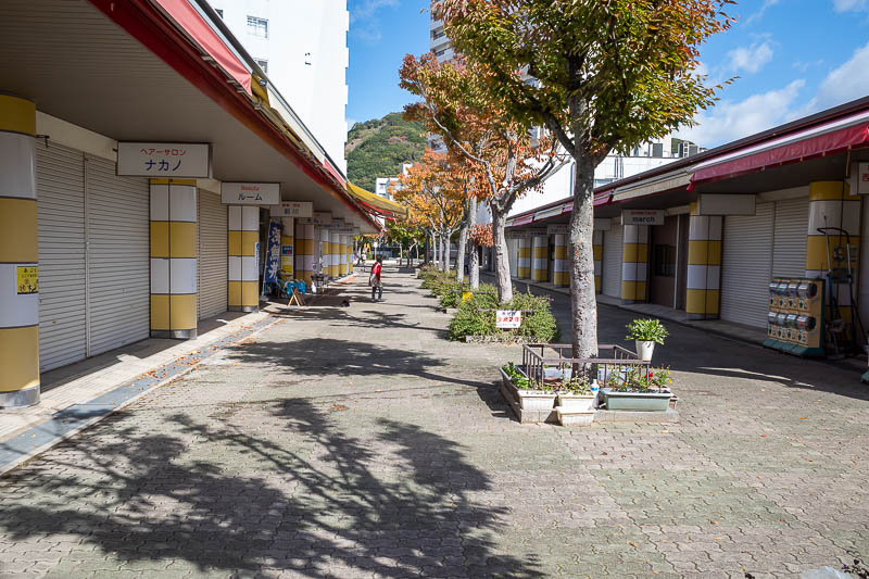 Japan-Kobe-Hiking-Higashiyama - I stopped here to annoy a very old cat that had no interest in moving at all. The old lady was debating the cat about how lazy it is.