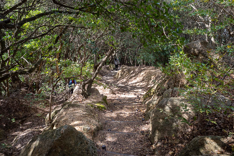 Japan-Kobe-Hiking-Higashiyama - Surprisingly, the trail then got good again, and not without potential slipping onto your ass areas.